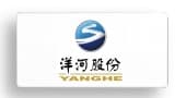 洋河股份
